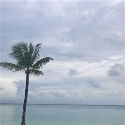 无敌舰队帝国荣耀官方下载